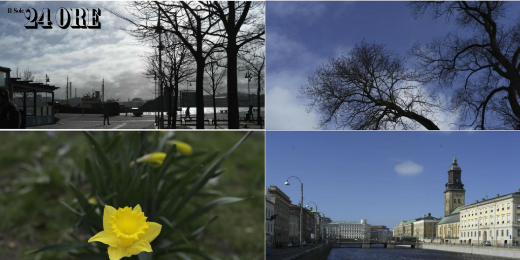 Hasselblad X1D - Il Sole 24 ORE