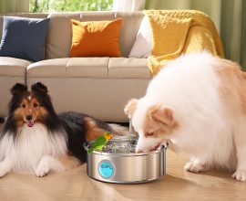 OneIsAll fontane smart per animali, acqua fresca disponibile