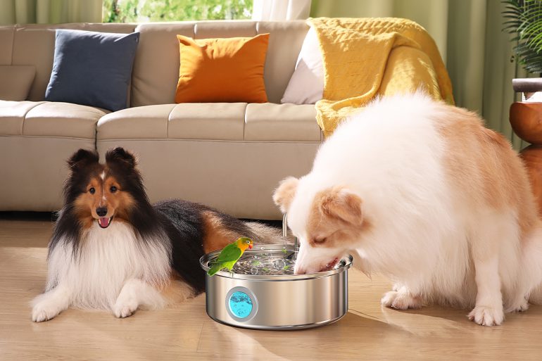 OneIsAll fontane smart per animali, acqua fresca disponibile