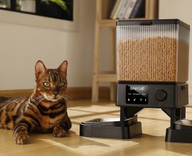 OneIsAll semplifica la routine dei cat lover con dispenser smart