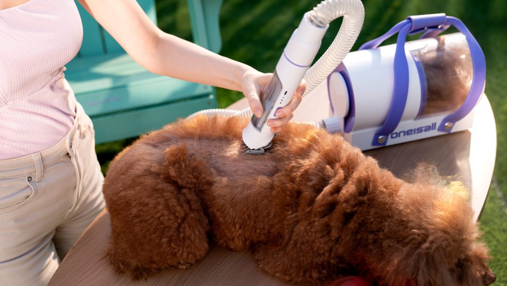 OneIsAll semplifica la cura quotidiana di cani e gatti con soluzioni smart