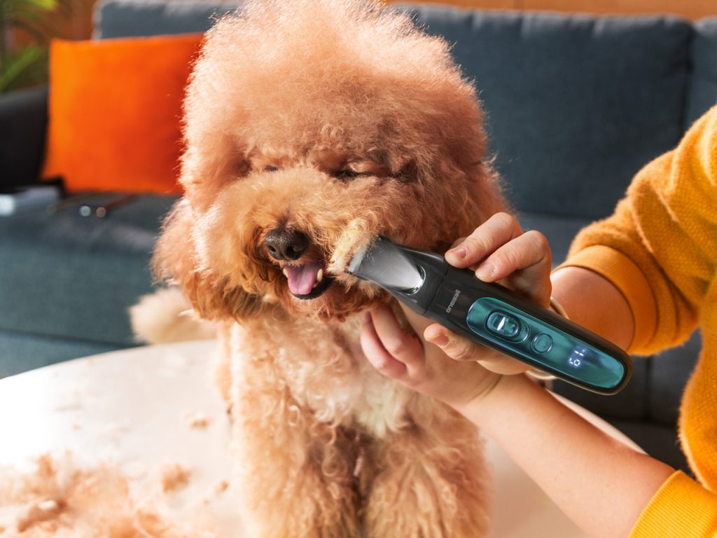 OneIsAll presenta FC10 il rasoio 4 in 1 che innova la toelettatura domestica